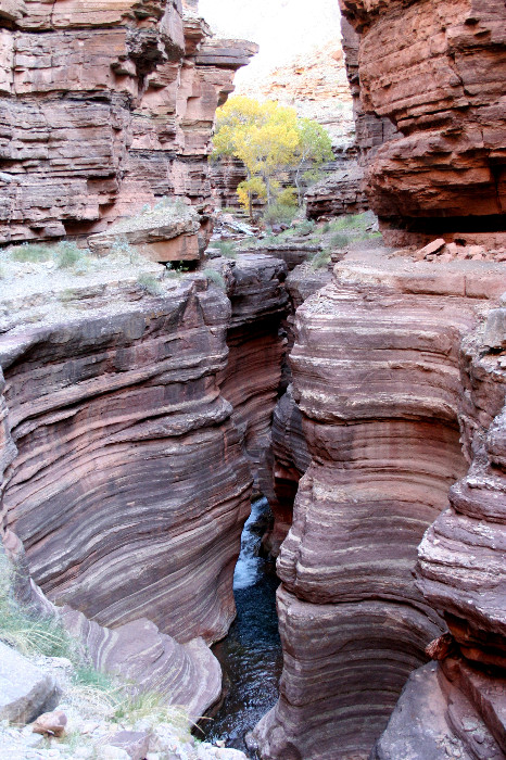 grand canyon photo