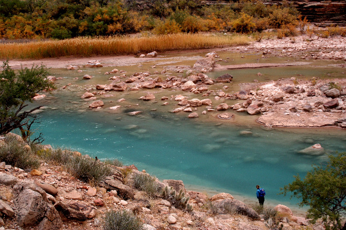 grand canyon photo