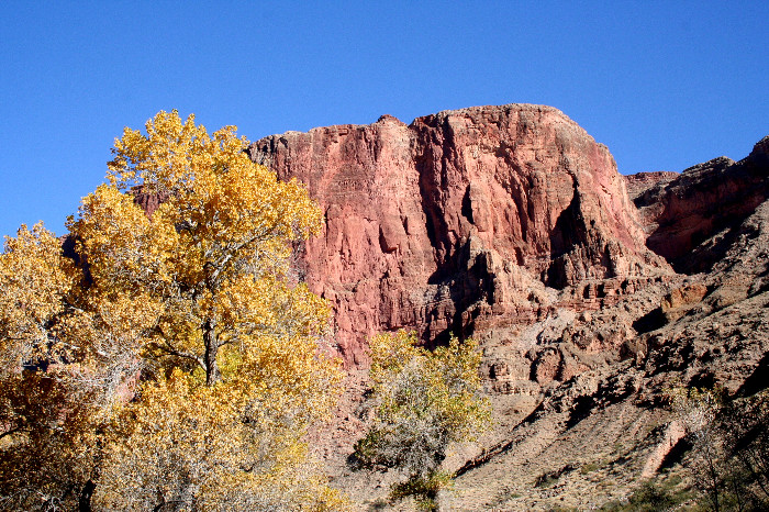 grand canyon photo