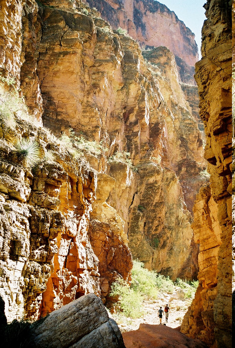 grand canyon photo