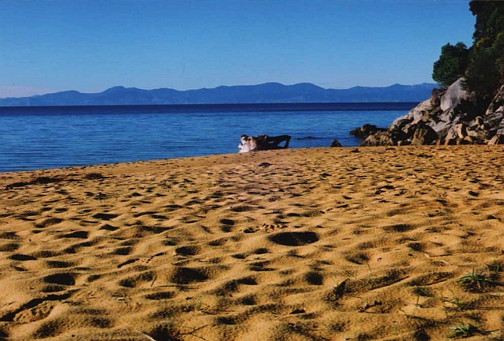 beach autumn