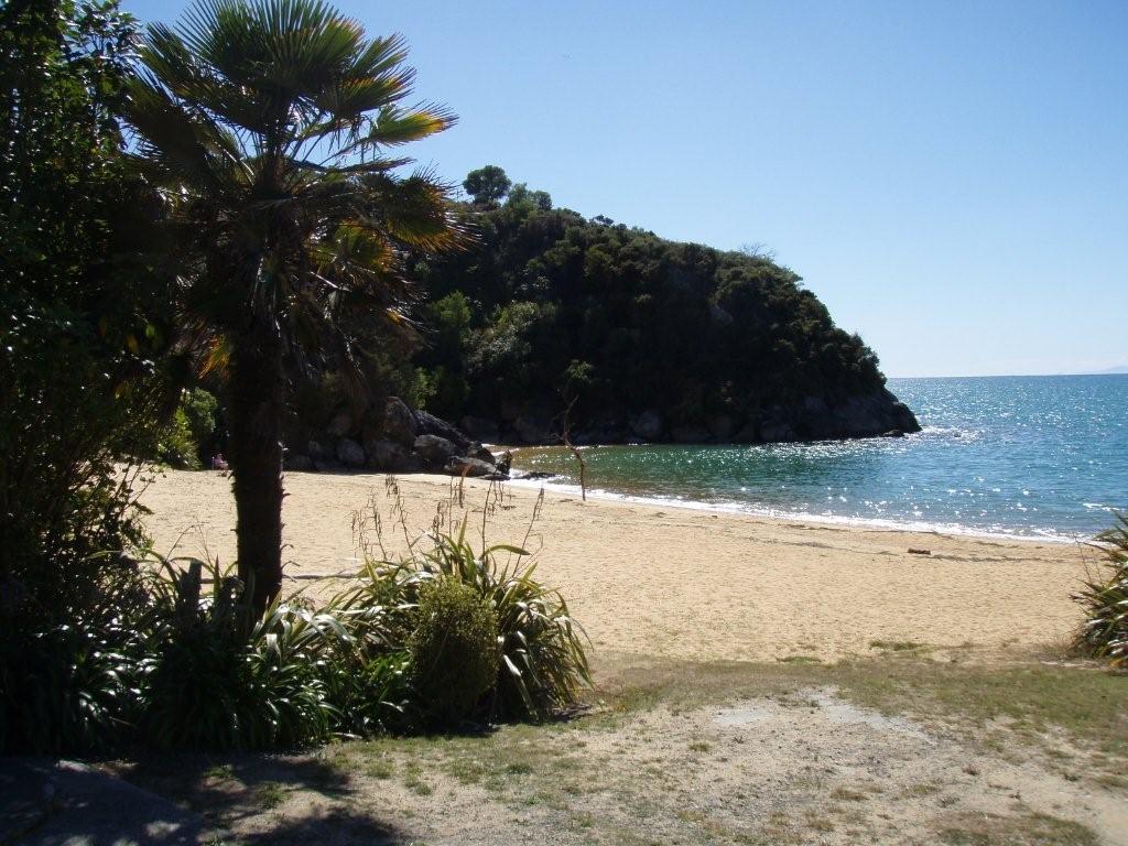 beach scene